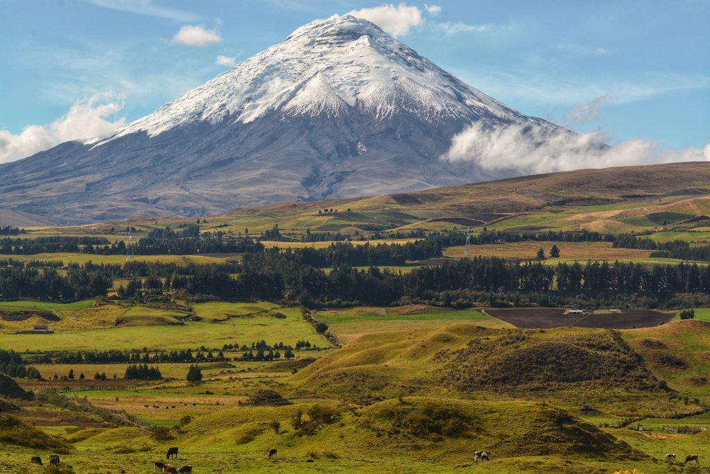 Bioeconomía y economía circular en Ecuador — biocarbón como ejemplo del modelo