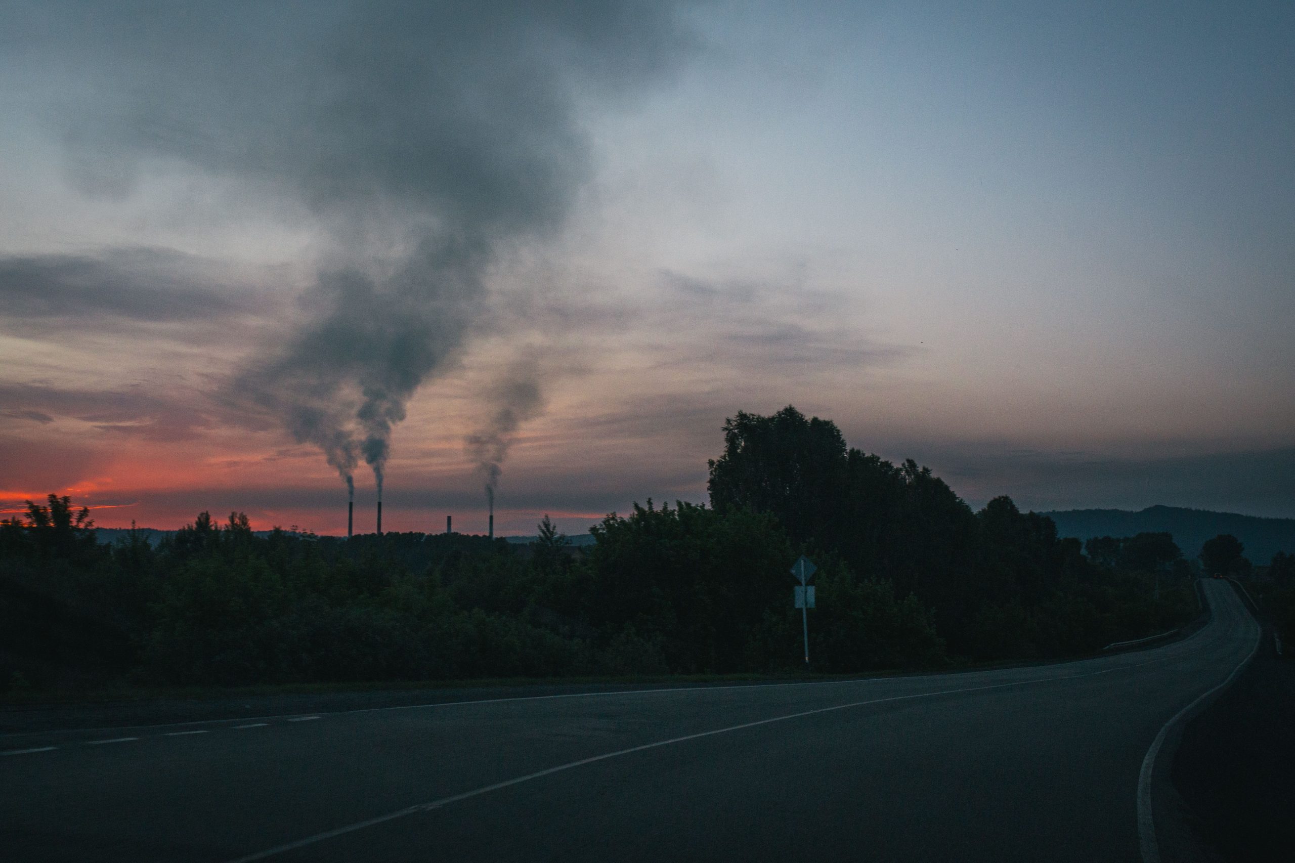 Mercado regulado vs voluntario de carbono