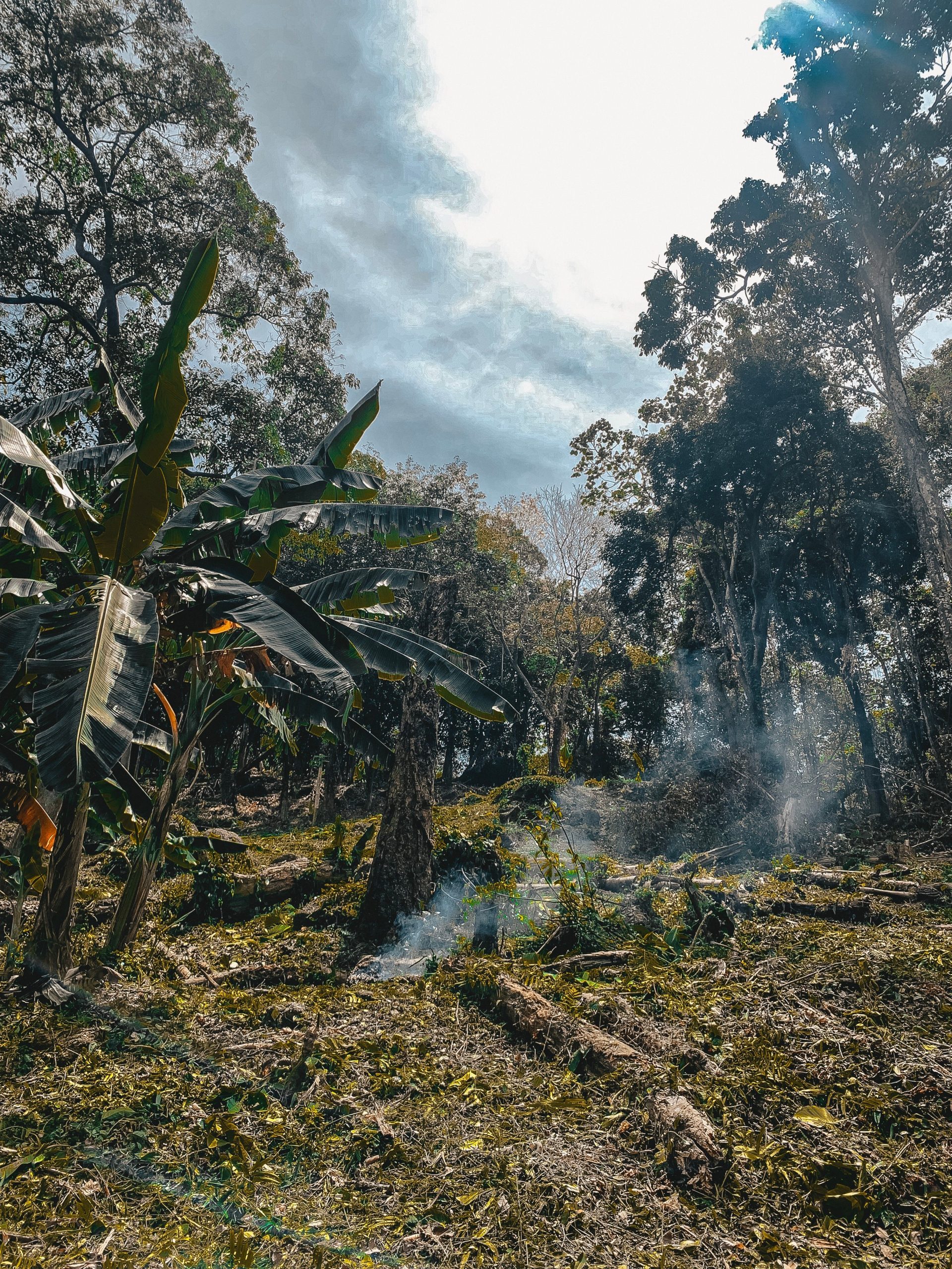 Why tropical soils change the biochar equation
