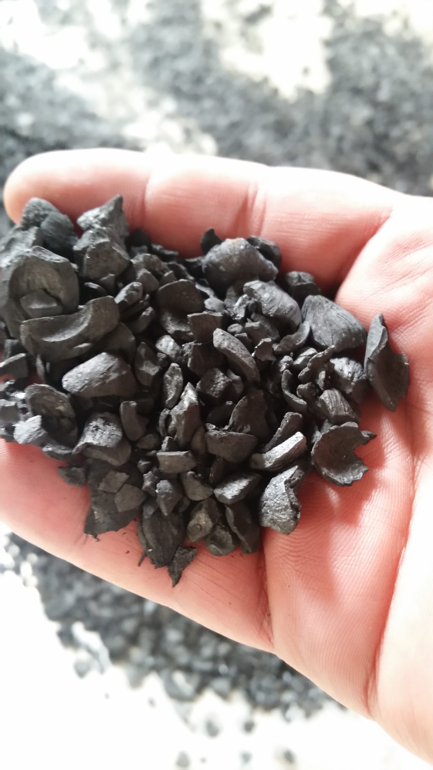 biochar granulado NINA ENERGY