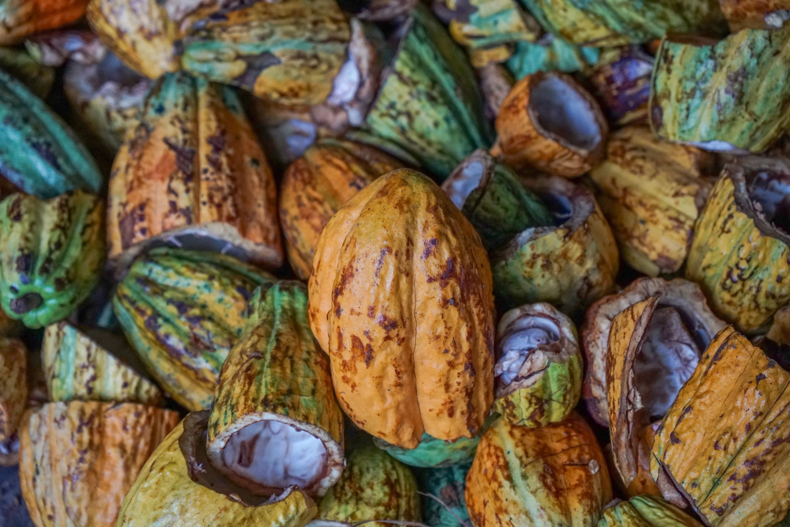 Cáscara de cacao y de café de residuo a recurso