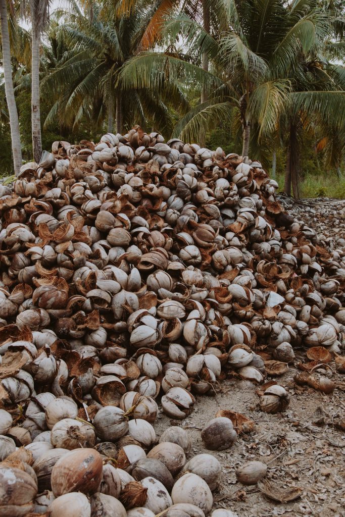 Oil palm empty fruit bunches management options and what each one requires